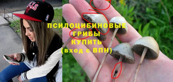 мяу мяу мука Баксан